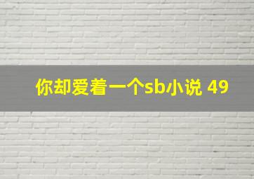 你却爱着一个sb小说 49